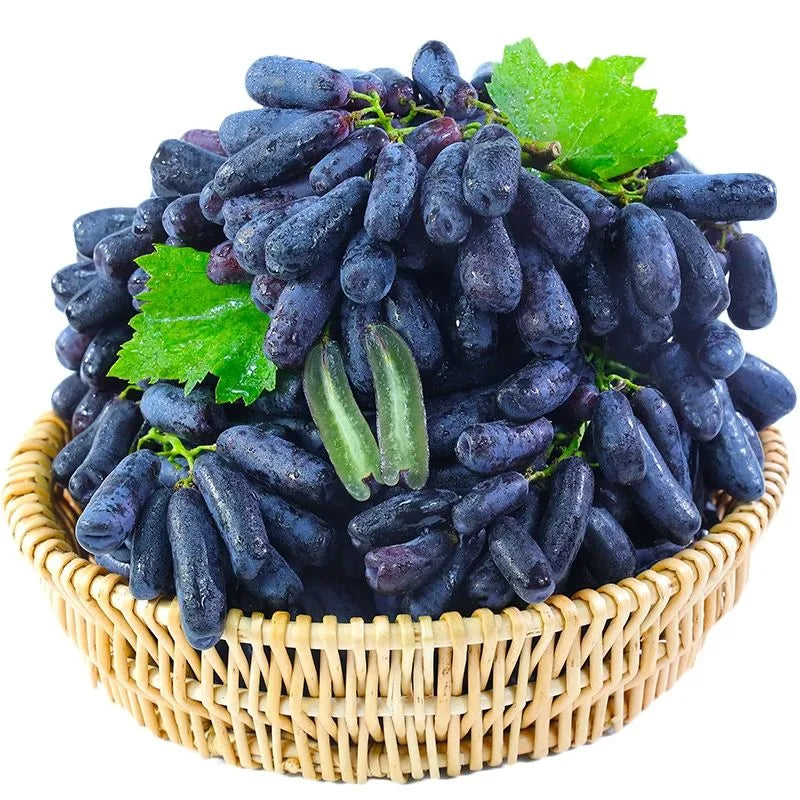 Sapphire Grape Planting Seeds