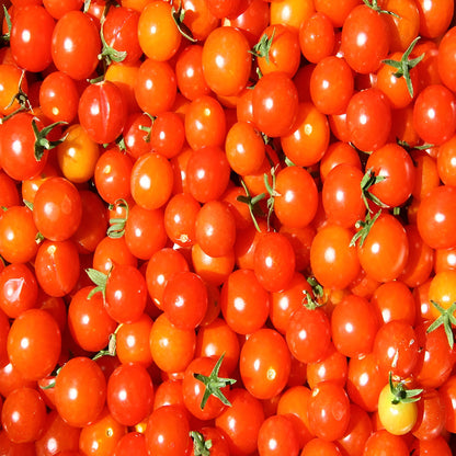 Colorful Cherry Tomatoes Vegetable Seeds