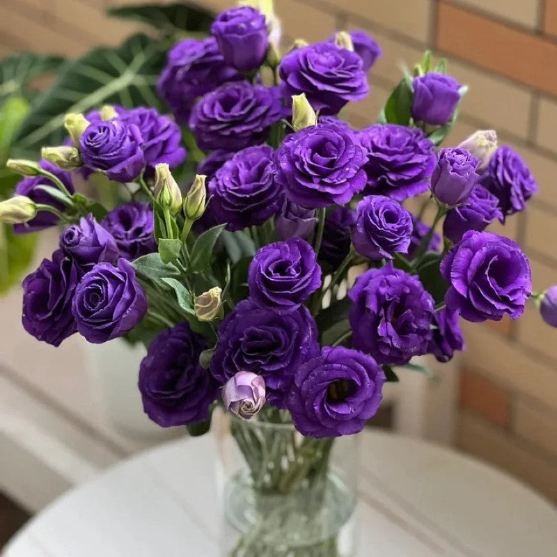Lisianthus Flowers Seeds
