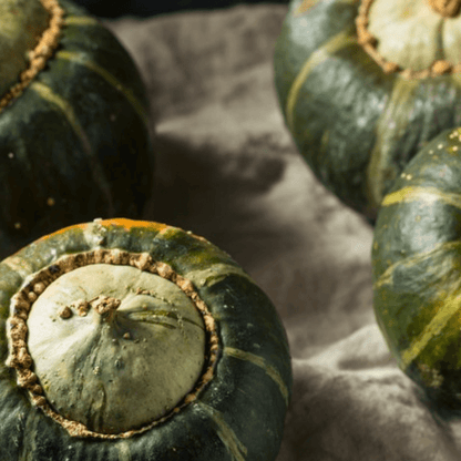Burgess Buttercup Squash Seeds - Heirloom Sweet Stringless Non GMO