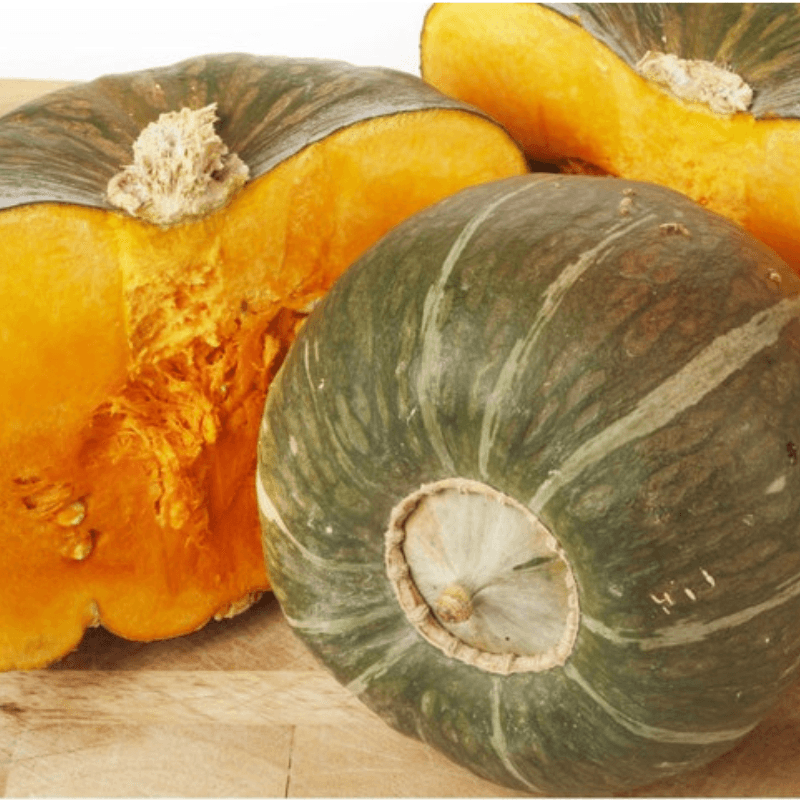 Burgess Buttercup Squash Seeds - Heirloom Sweet Stringless Non GMO