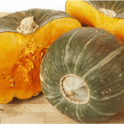 Burgess Buttercup Squash Seeds - Heirloom Sweet Stringless Non GMO