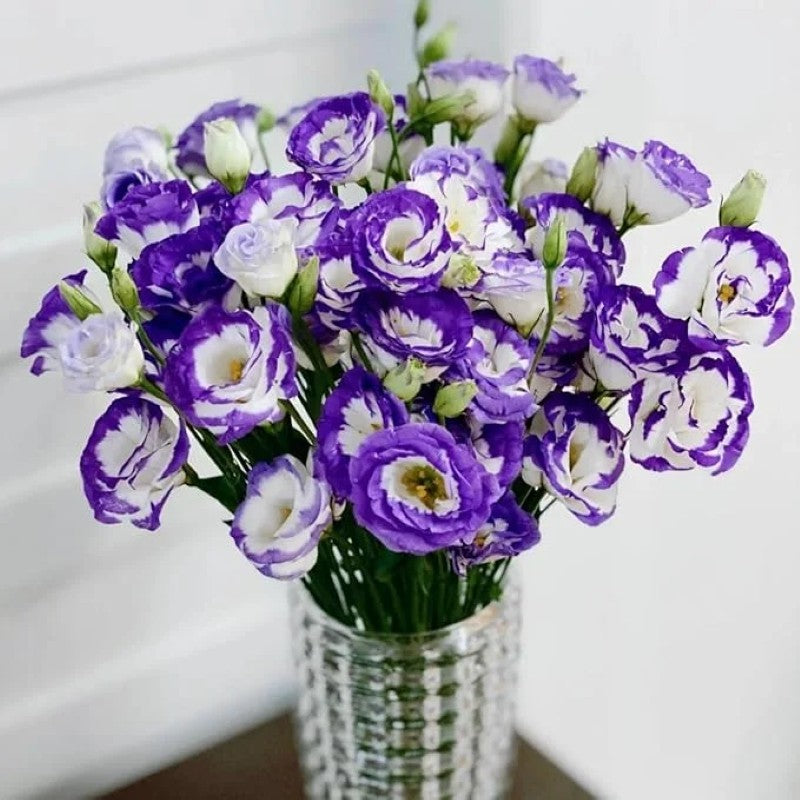 Lisianthus Flowers Seeds