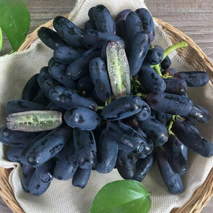 Sapphire Grape Planting Seeds