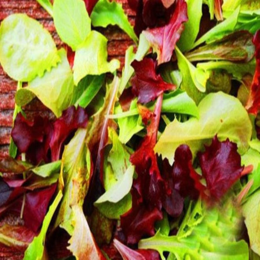 Mesclun Mix Seeds