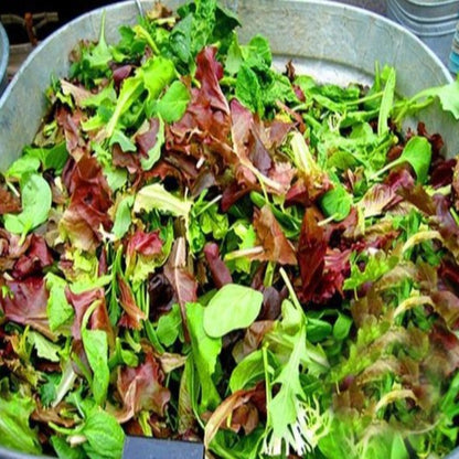 Mesclun Mix Seeds