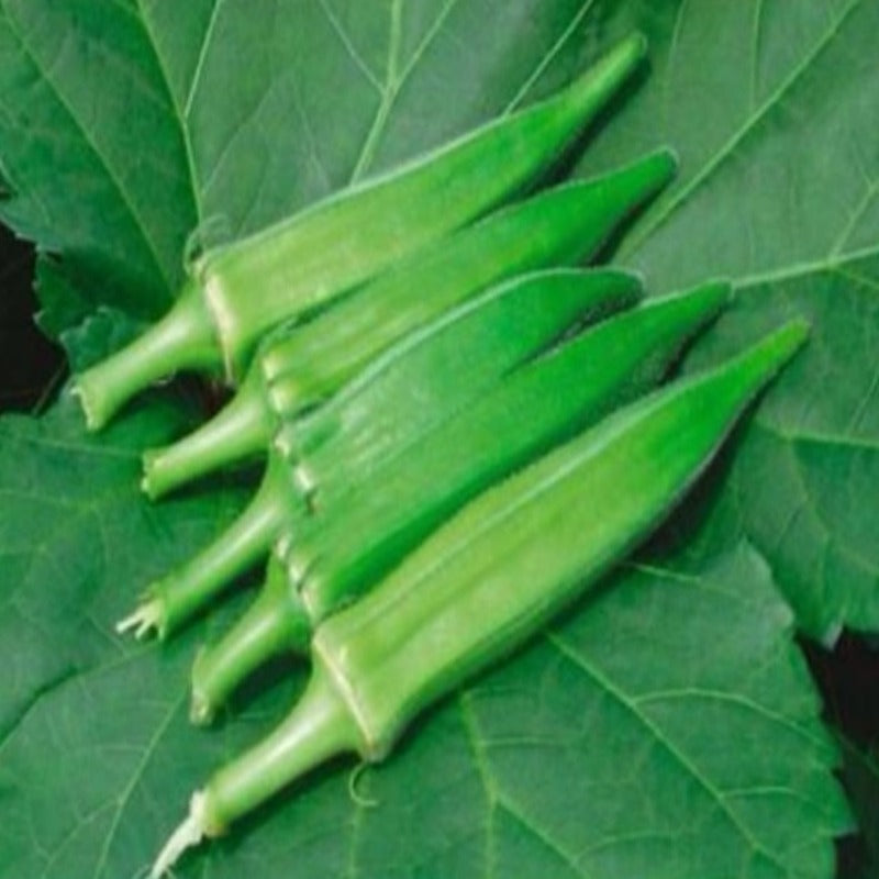 Red And Green Okra Seeds