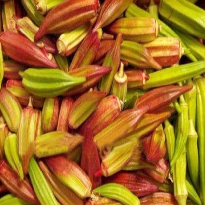 Red And Green Okra Seeds