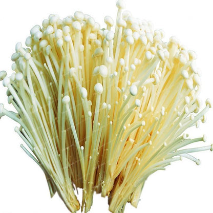 Enoki Mushroom Seeds