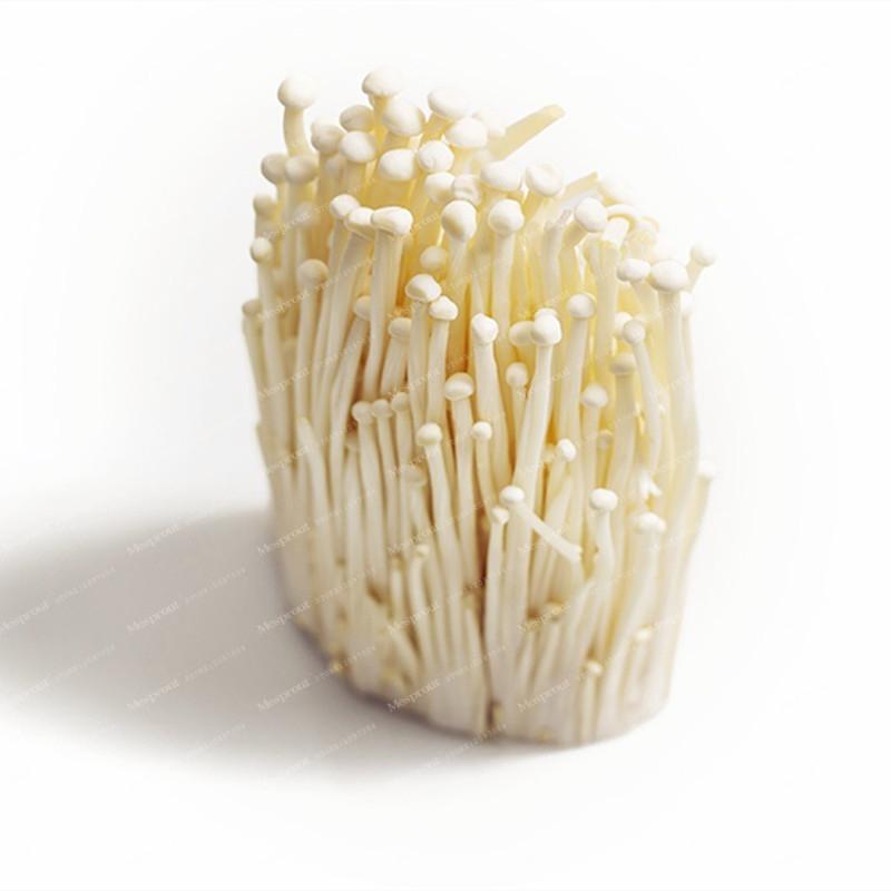 Enoki Mushroom Seeds