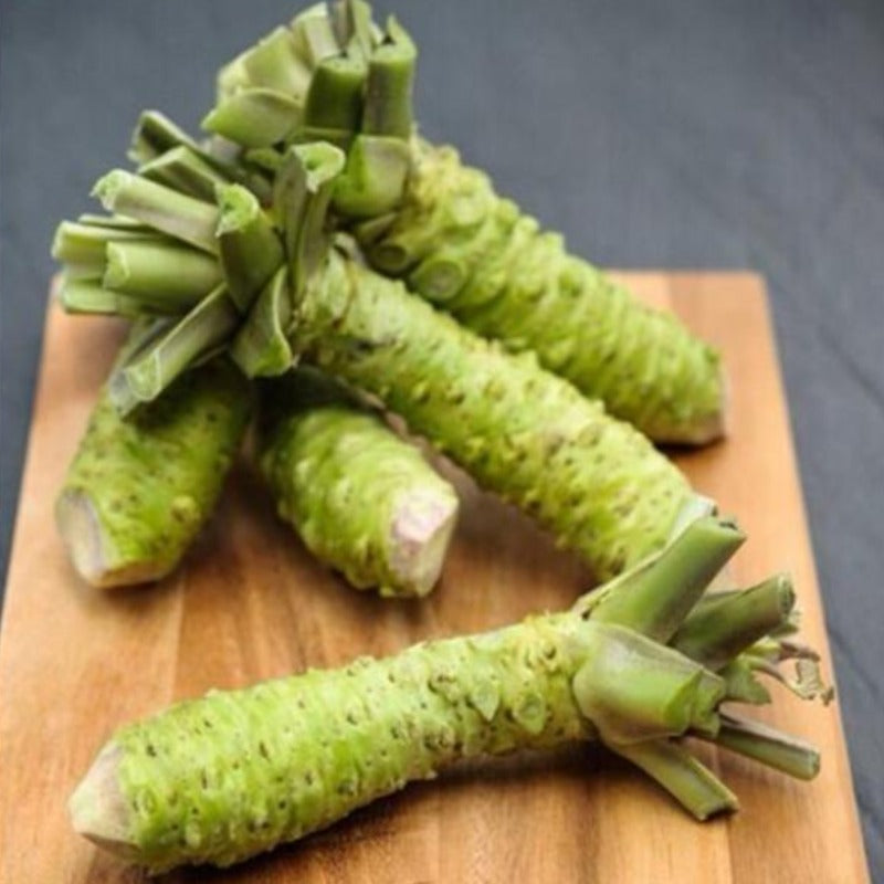 Wasabi Japanese Horseradish Seeds