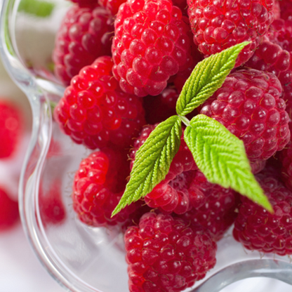 Red Raspberry Fruit Seeds