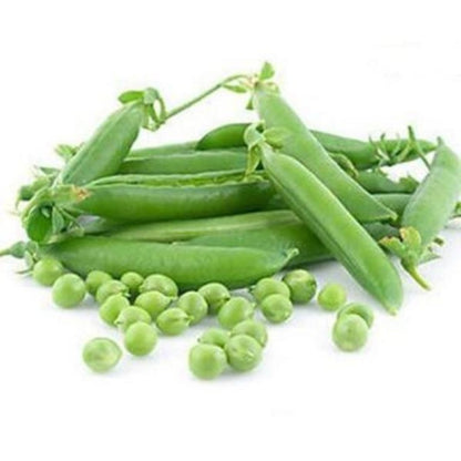 Snow Peas Seeds