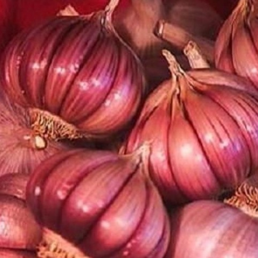 Pink Garlic Seeds