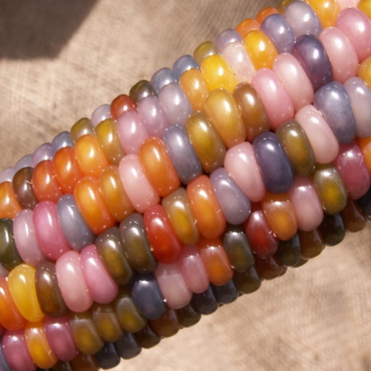 Sweet Rainbow Corn Seeds