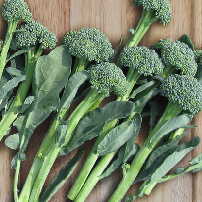 Baby Broccoli Vegetables Seeds