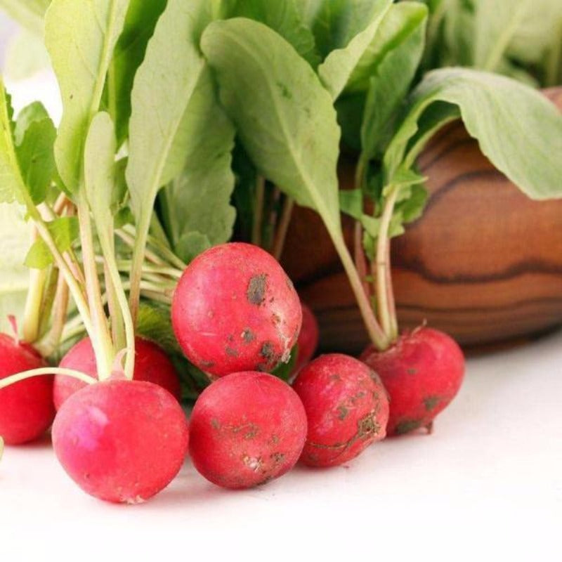 Round Cherry Radish Vegetable Seeds