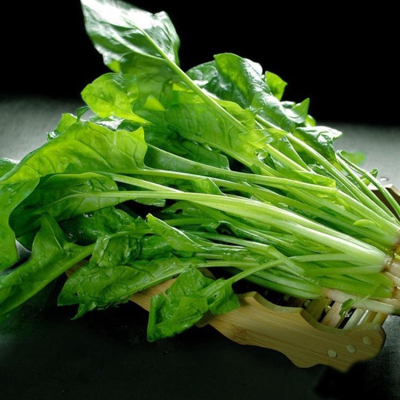 Green Spinach Leave Seeds