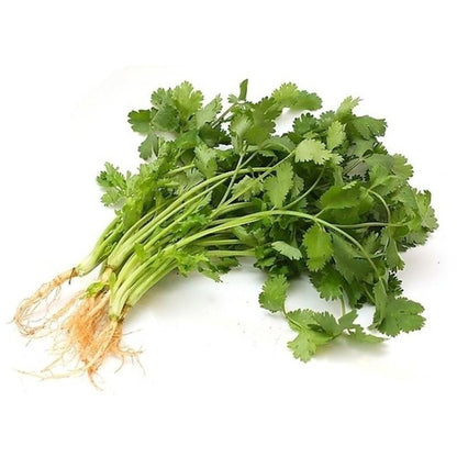Cilantro Vegetable Seeds