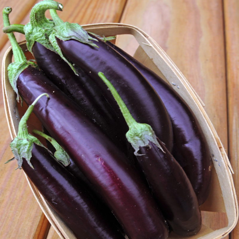 Machiaw Purple Eggplant Vegetable Seeds