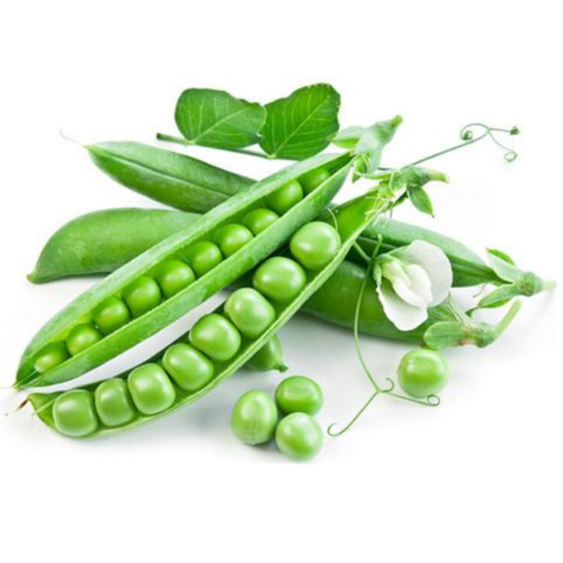 Sugar Snap Pea Seeds