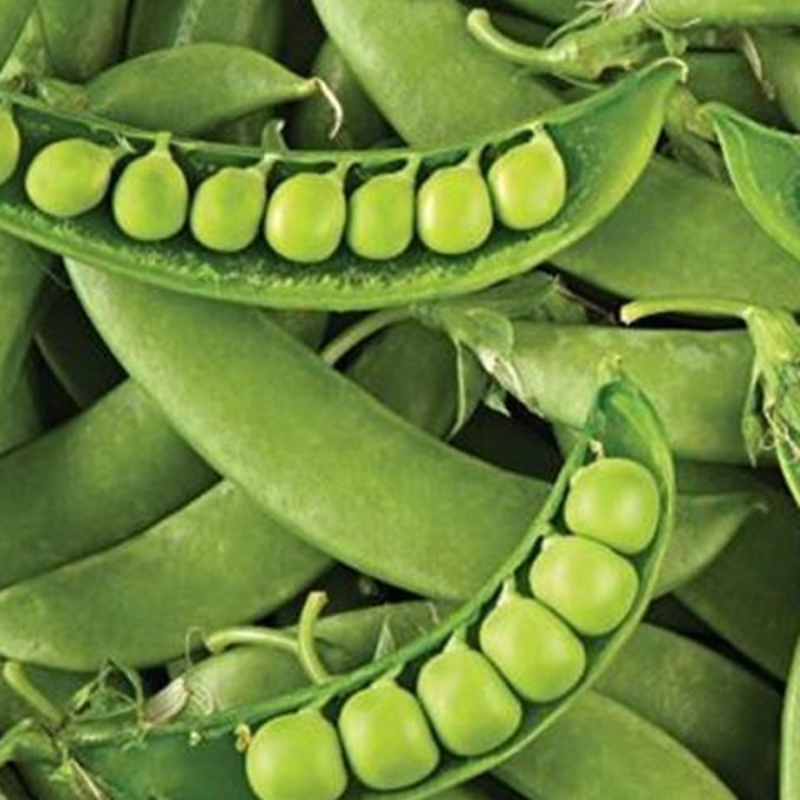 Sugar Snap Pea Seeds