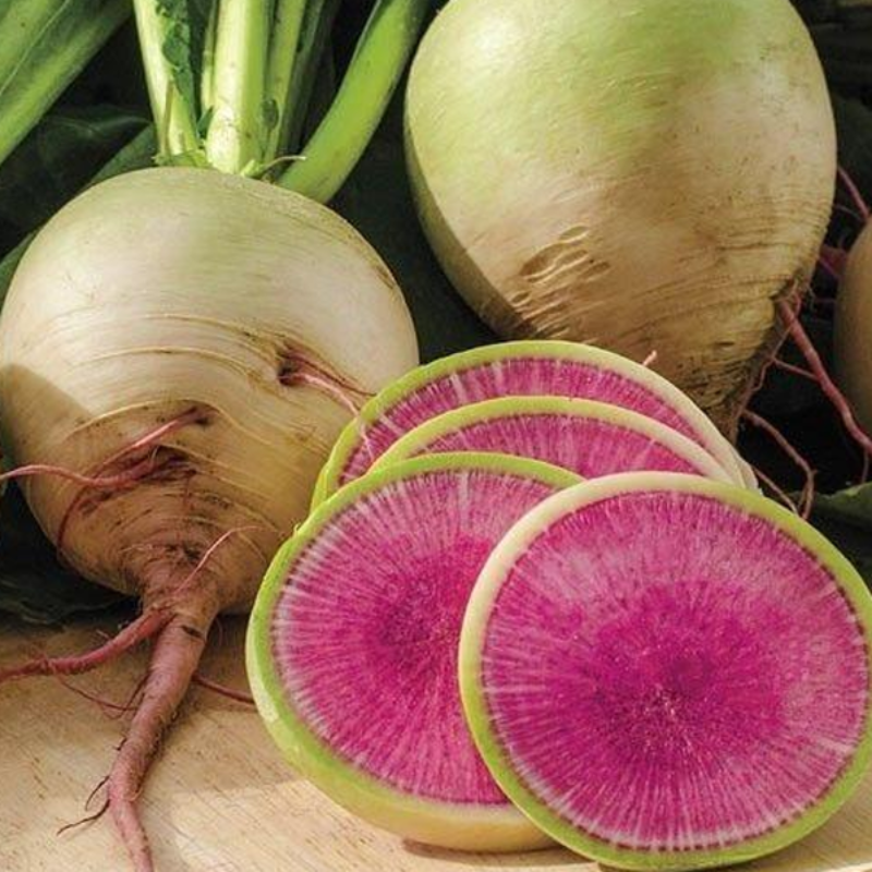 Watermelon Red Radish Vegetable Seeds