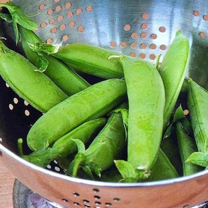 Sugar Snap Pea Seeds