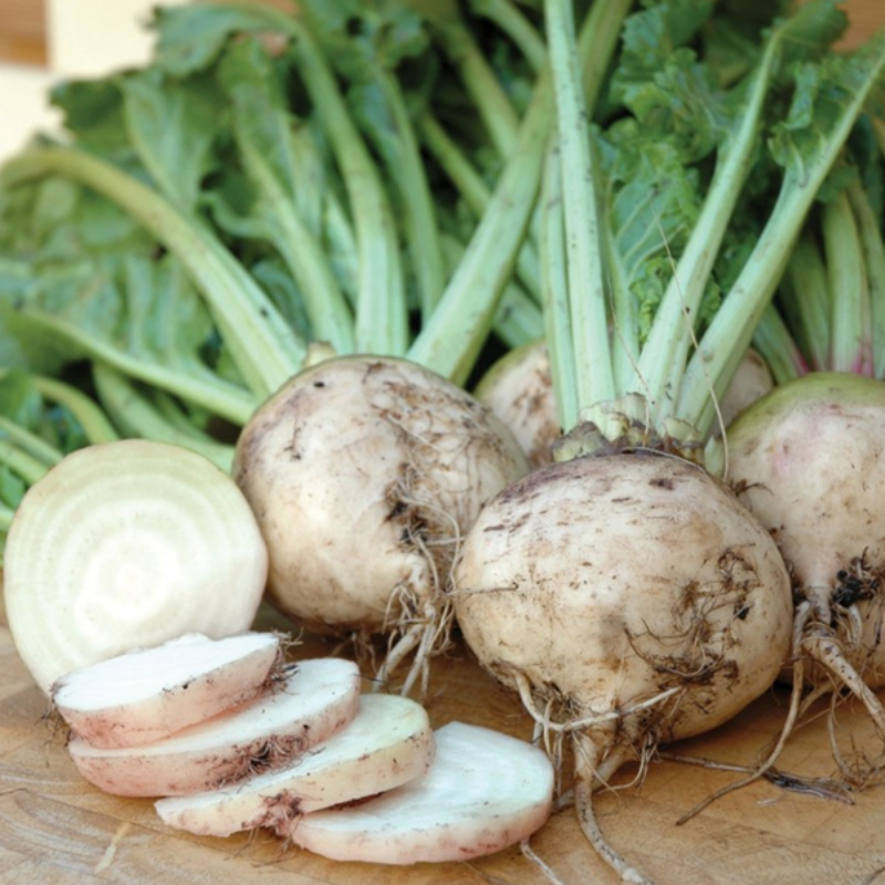 White Albino Beet Seeds