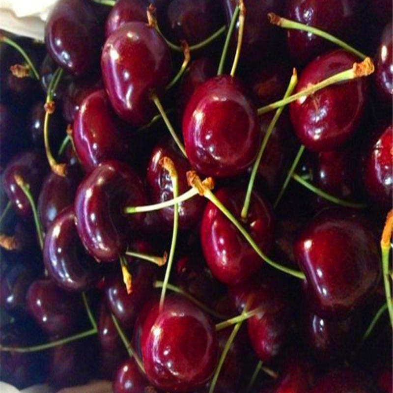 Red Cherry Fruit Seeds