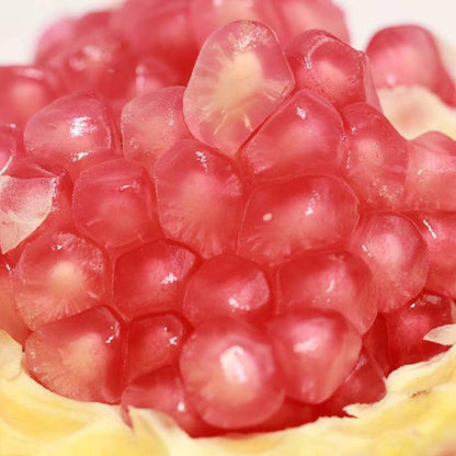 Succulents Pomegranate Seeds