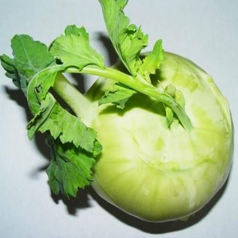 Green Kohlrabi Brassica Vegetable Seeds