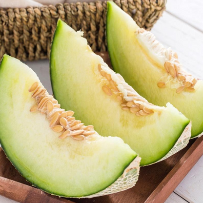 Cantaloupe Melon Fruit Seeds