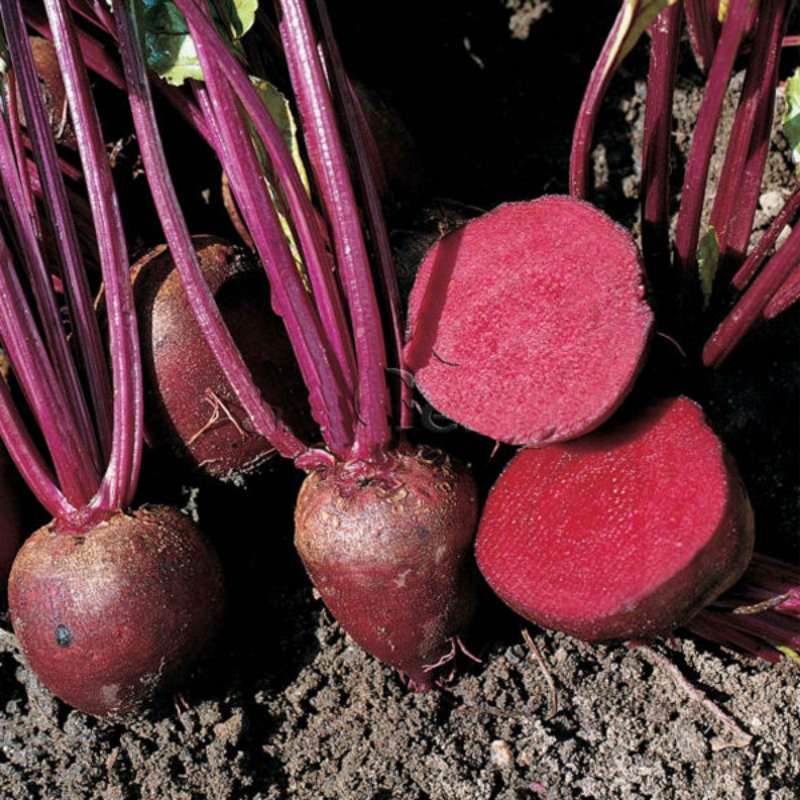 Beetroot Seeds