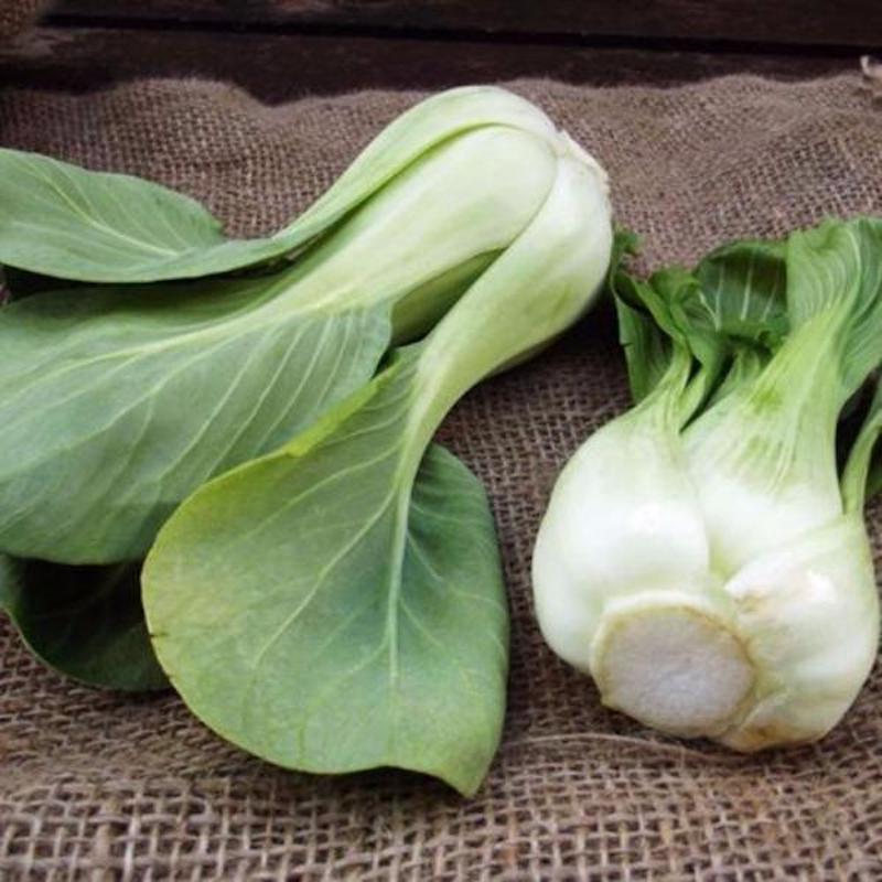 Cabbage Seeds for Outdoor