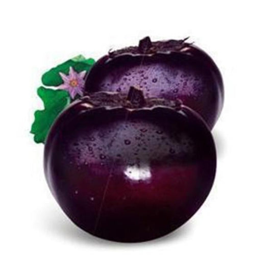 Round Organic Eggplant Vegetable Seeds