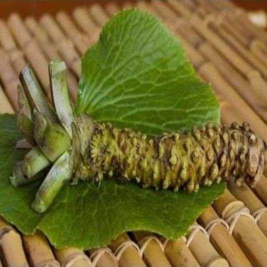 Wasabi Seeds