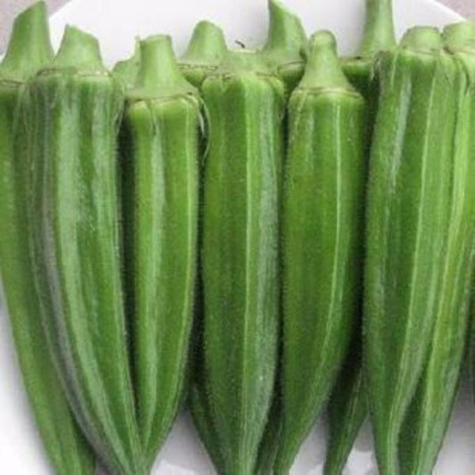 Okra Vegetable Seeds