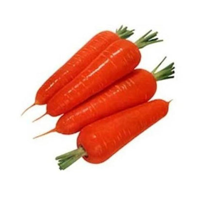 Red Carrot Seed