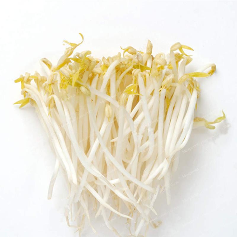 Organic Green Bean Sprout Seeds