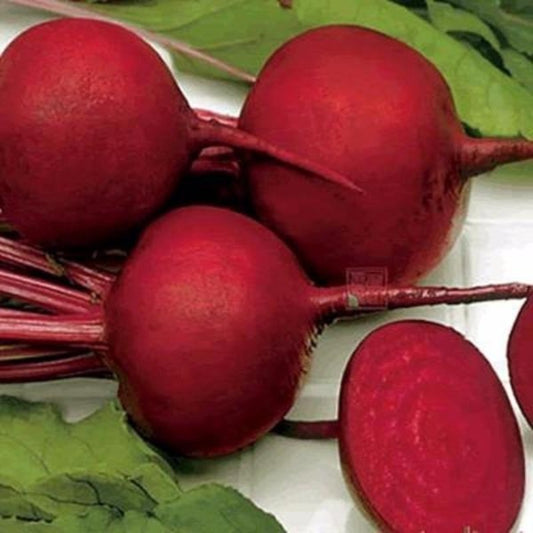 Summer Red Beet Seeds