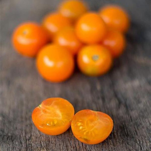 Sungold Tomato Seeds