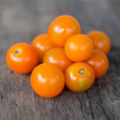 Sungold Tomato Seeds