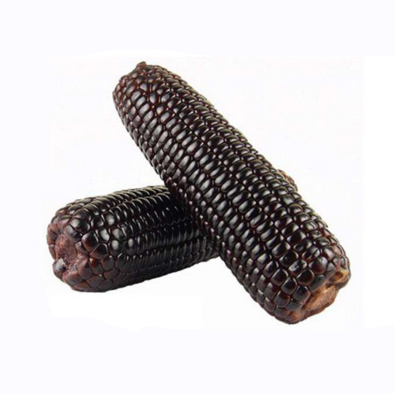 Black Waxy Corn Seeds