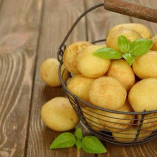 Yellow Potato Seeds