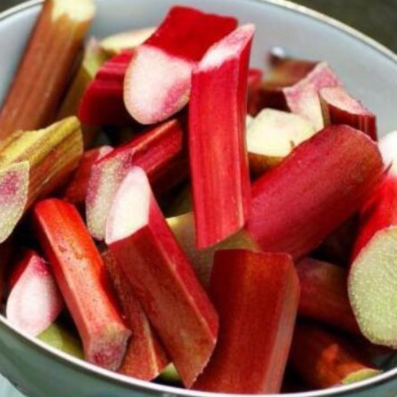 Victoria Rhubarb Seeds