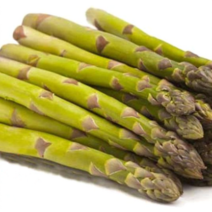 Asparagus Jersey Giant Seeds