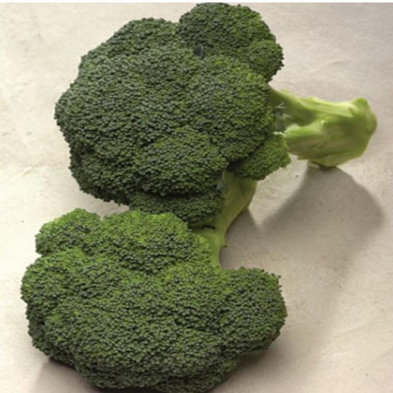 Broccoli Vegetable Seeds