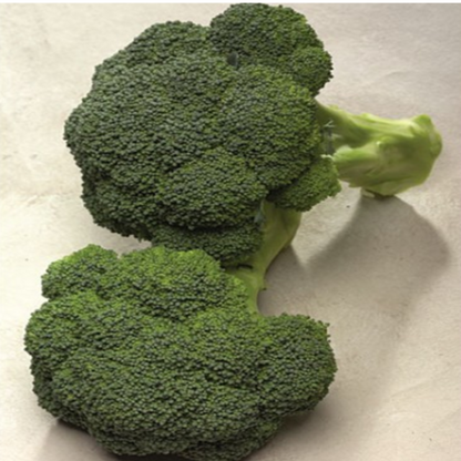 Broccoli Vegetable Seeds