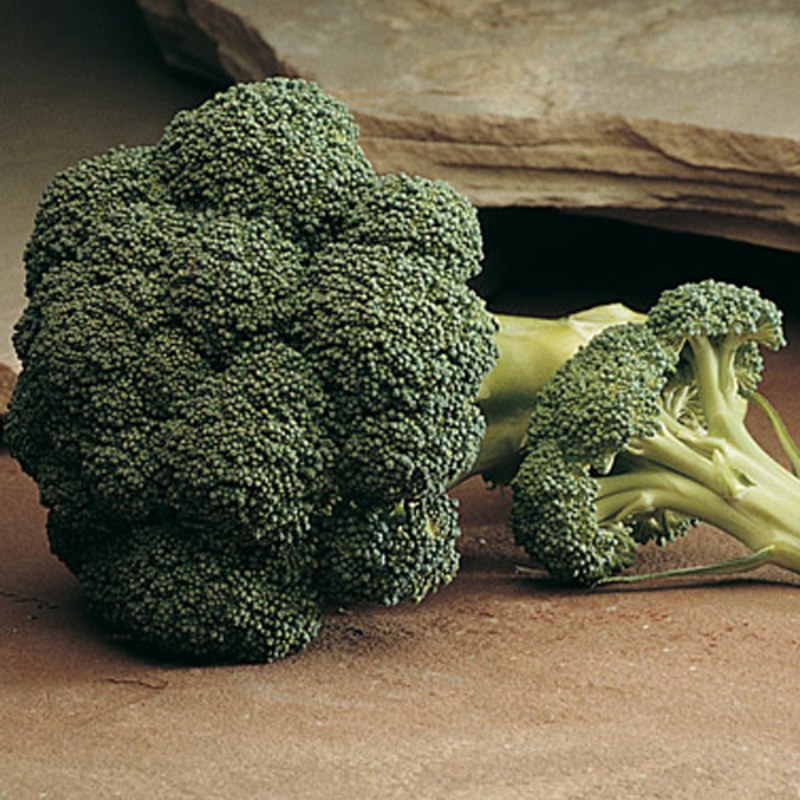 Broccoli Vegetable Seeds